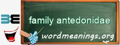 WordMeaning blackboard for family antedonidae